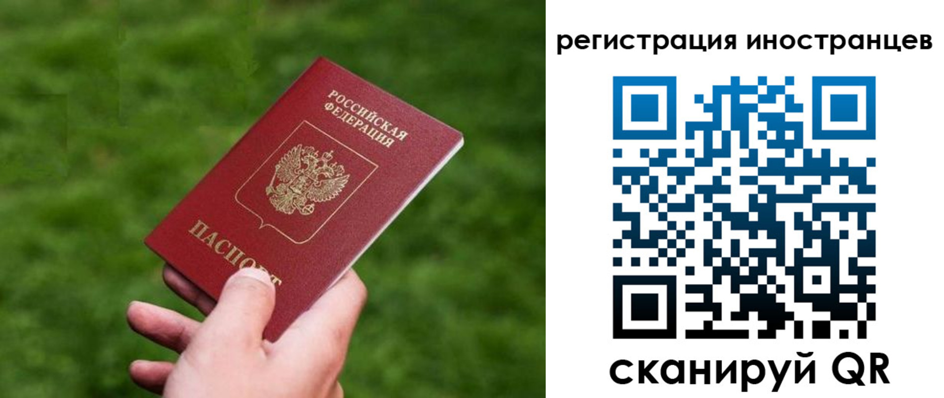 прописка ребенка в Рязанской области